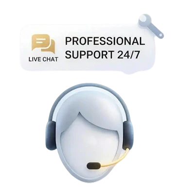 Professional Customer Support Team